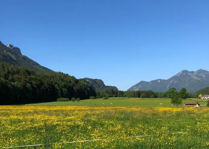 Haus Bergsteigerglueck 度假居 施莱兴