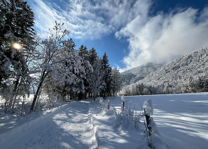 Haus Bergsteigerglueck * Schleching